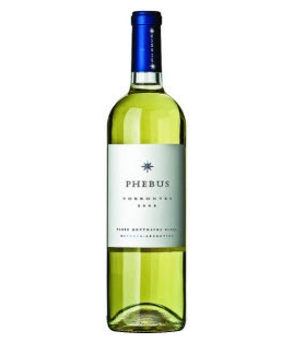 Vin blanc argentin sec - IG Mendoza - Bodegas Fabre Montmayou - Cuvée Phebus Torrontes