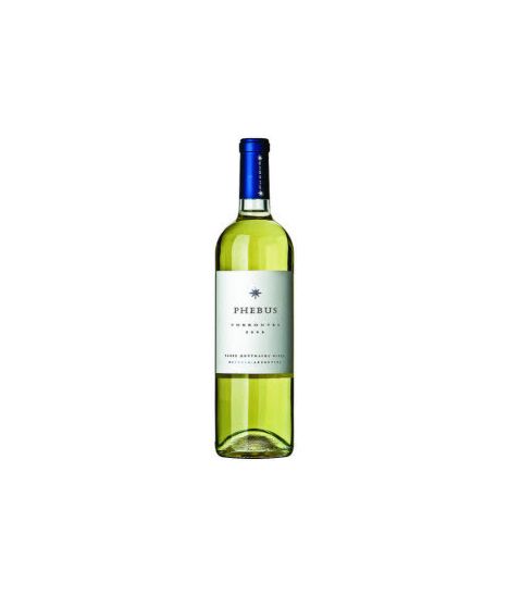 Vin blanc argentin sec - IG Mendoza - Bodegas Fabre Montmayou - Cuvée Phebus Torrontes