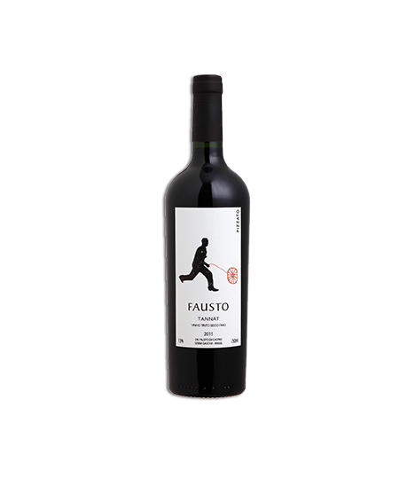 Vin rouge brésilien - Rio Grande do Sul - Serra Gaúcha - Pizzato Vinhos - Cuvée Fausto Tannat
