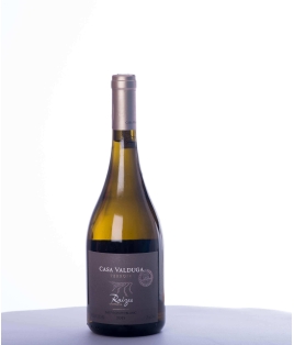 Vin blanc brésilien sec - Rio Grande do Sul - Casa Valduga - Cuvée Raizes - Sauvignon Blanc