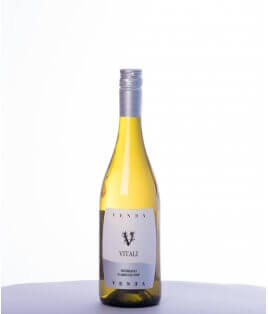 Vin blanc italien sec - Abruzzes - DOC Trebbiano d'Abruzzo - Azienda Venea - Cuvée Vitali