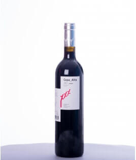 Vin rouge espagnol - Castille et León - DO Ribera del Duero - Bodegas La Cepa Alta - Cuvée Cepa Alta Crianza - Tempranillo