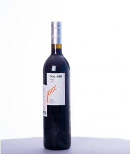 Vin rouge espagnol - Castille et León - DO Ribera del Duero - Bodegas La Cepa Alta - Cuvée Cepa Alta Roble - Tempranillo