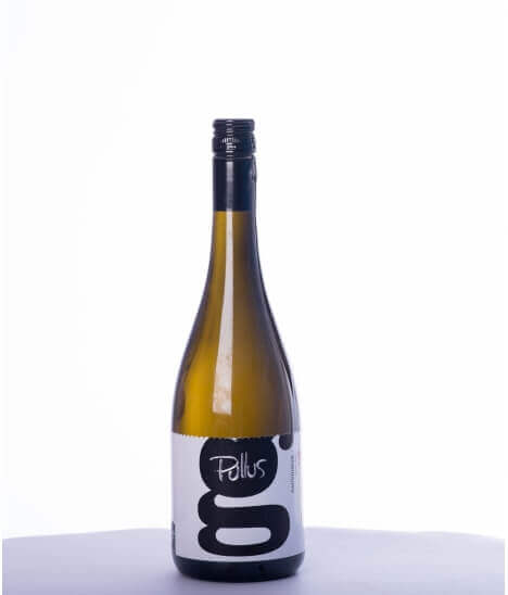 Vin blanc slovène sec - Podravje Region - Ptujska Klet - Cuvée Pullus G - Sauvignon Blanc