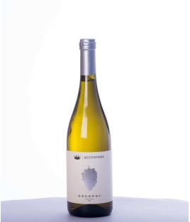Vin blanc serbe sec - Šumadija Region - Vinarija Despotika - Cuvée Beskraj - Sauvignon blanc