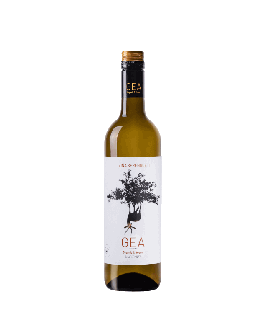 Vin blanc espagnol bio sec - IGP Vinos de la Tierra de Castilla - Bodegas Alcardet - Cuvée Gea Chardonnay Viña Serengueti