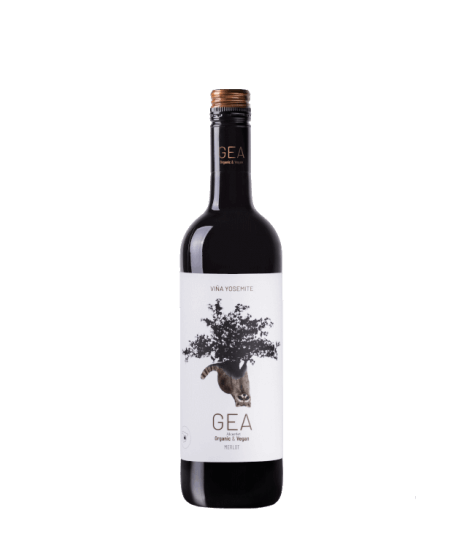 Vin rouge espagnol bio - IGP Vinos de la Tierra de Castilla - Bodegas Alcardet - Cuvée Gea Merlot Viña Yosemite