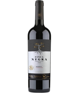 Torres Finca Negra Carmenere Reserva