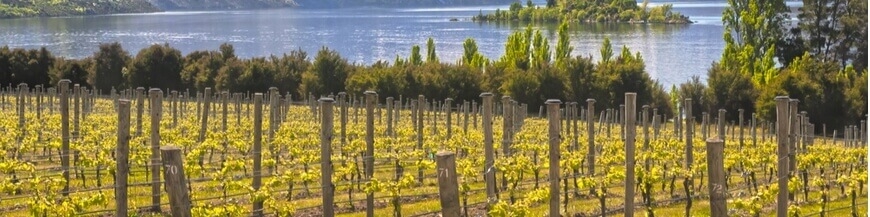 Commandez votre vin de Nouvelle-Zélande - Wines of Earth