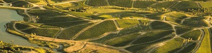 Commandez du vin de l'Uruguay sur Internet