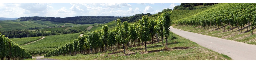 Acheter du vin luxembourgeois en ligne