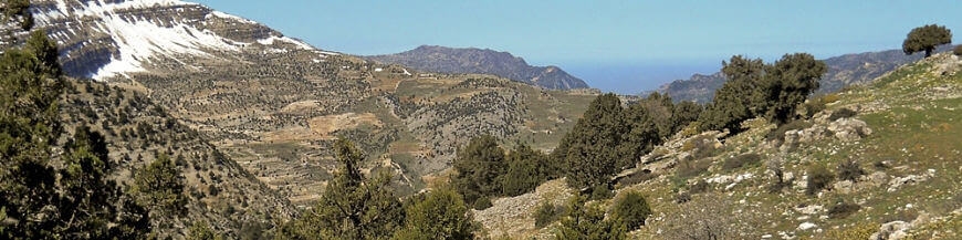 Vins du Proche-Orient, du Caucase et d'Asie Wines Of Earth