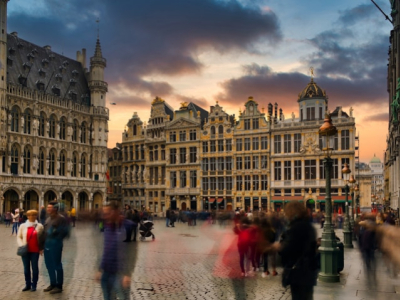 12 idées de vins du monde à déguster avec les stoofvlees