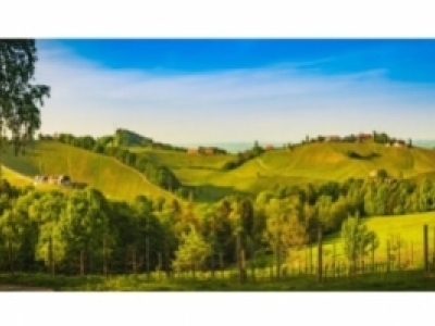 Pour régaler un œnophile, offrez-lui une bouteille de Slovénie