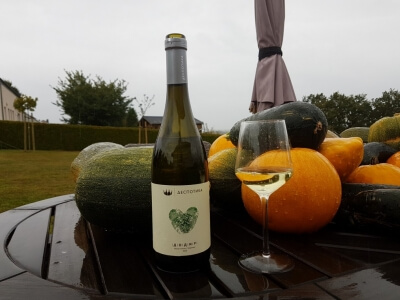 Dégustation du vin serbe Dodir - Despotika - cépages Muscat Ottonel et Tamjanika