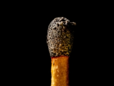 Vin réduit : définition et méthodes pour le repérer en dégustation